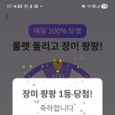 장미백점 이미지