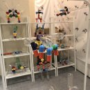 대림중학교 이미지