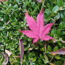 제주대학교 사회교육대학원 이미지