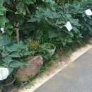 창만2리 이미지