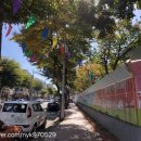 한국폴리텍Ⅴ대학 | 순천 금당 중앙상가 아름다운 거리축제 다같이 놀자! 후기