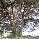 답곡리마을 이미지