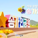 송가인공원 네이버블로그