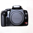 수리의 왕국 이미지