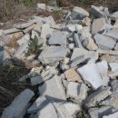 용혈1리 이미지