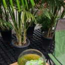 두식농원 이미지