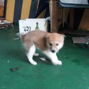 초원모텔 이미지