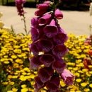 구리시민공원 매점 이미지