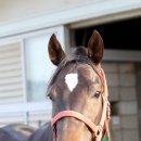 부여(외산)-7 이미지