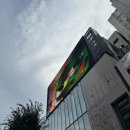 카페씨CafeC | 도쿄 워홀 D+225 | 선물 사고, 시모기타자와에 가서 스프카레 뿌시기
