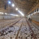 상주종계장 이미지