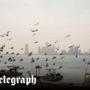 my drink museum 이미지