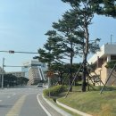 3 f 10 (쓰리에프텐) | 속초 가족여행 호텔, 고성 소노펠리체 델피노 골드 파노라마 솔직후기 (f. 조식, 인피니트풀)