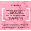 판디스 이미지