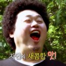 연주 벌꿀