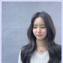 첨단 미용실 매끄러웠던 가이아 헤어 솔직후기