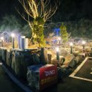 다이노 꽃밭에서 이미지