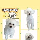 희망로H동물병원 이미지