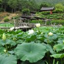 꽃보다 아름다운 절집, 산청 수선사﻿ 이미지