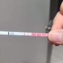 빛가람건강생활지원센터 | 첫 임신 일기