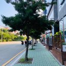 부산조개창고 이미지