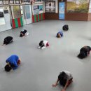 조천체육관 체육관 이미지