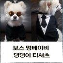 베이비펫 이미지