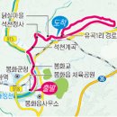 솔숲갈래길 이미지