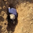 망우리공원 | 2026년 망우리 공동묘지 개장 지원금 안내