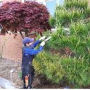 명도초등학교 이미지