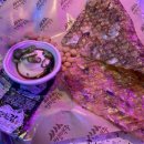 인쌩맥주은행사거리