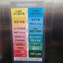 카츠홀릭 이미지