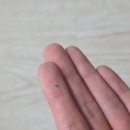 더착한클린인 | [입주청소] 숨고 &#39;캥거루클린&#39; 비추하는 이유/체험 후기