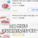 3월17일 쿠팡체험단 식품 처음 뜬 날 미국산 차돌양지 샤브샤브용 솔직후기
