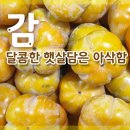 햇살농산 이미지