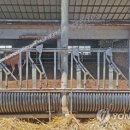 들샘경로당 연합뉴스