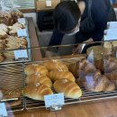 [제주 맛집]겉바속촉의 정석, 제주 '겹겹의의도' 솔직 리얼 후기 🥐✨