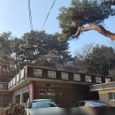 섬지캠핑장 | [전남/숙박] 구례 " 섬지캠핑장 "은하수쏟아지는캠핑장방문후기