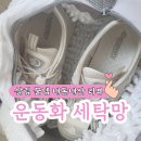 모모세탁소 | 쿠팡 살림 꿀템 라카쎄 극세사 운동화 신발 세탁망 내돈내산 후기