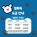 멍뽀득 | 천안아산 대형견 출장목욕 멍뽀득 만족도 너무 높은 생생후기