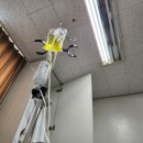 연산(릴)-4 | 내치핵3기 바나나클립 치질수술후기 3편(치질수술 2박3일후기)