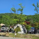 서울근교캠핑장 찐추천, 파주 율곡캠핑장 A-F구역 사이트 선택 꿀팁까지