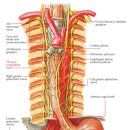 다사랑한의원 이미지