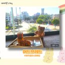 제주빵집 귀여운 곰돌이가 가득한 동문시장 카페 어드브레드