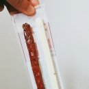 치노포차