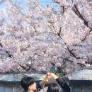 수원-1732 이미지