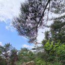 홍촌마애승상 이미지