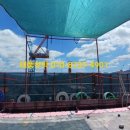 그늘막102 이미지