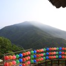 명지산 계곡 스테이 이미지