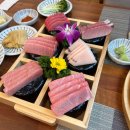 참치아도로이수 - 15737 | 참치아도로이수